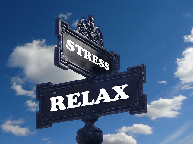 stresy