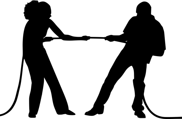 boj